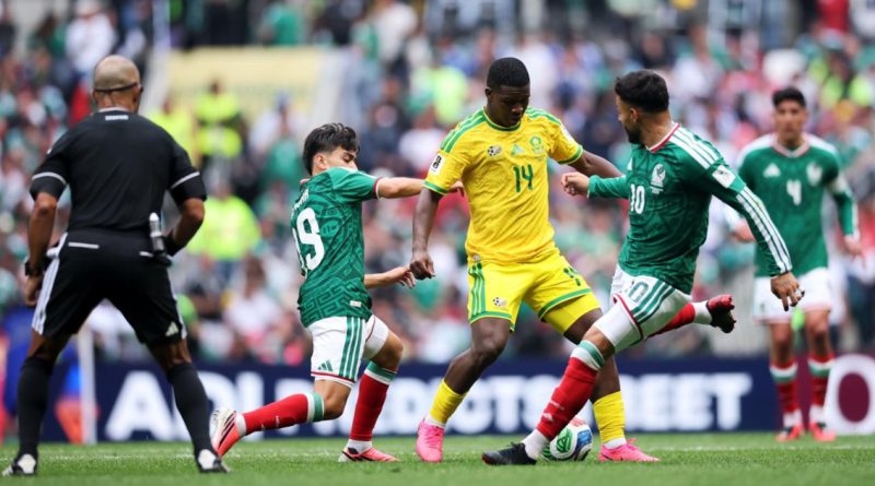 Government Rallies Behind Bafana After World Cup Defeat (Image: SAFA Media)